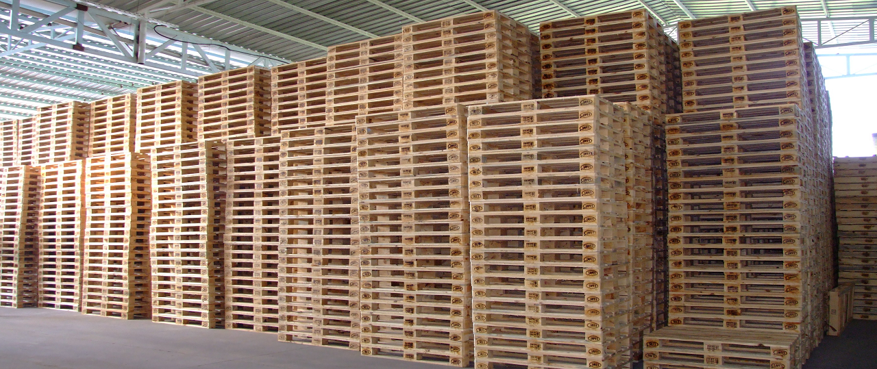 İzmir SKF Sandık